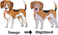 do quick embroidery file within few hour