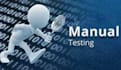 manually test your website and give an honest result