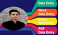be your expert data entry VA