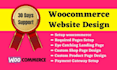 do your wordpress ecommerce store online store woocommerce website design