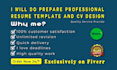 prepare professional resume template and CV design