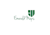 provide a professional, conservative logo design