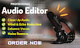 remove background noise, do audio clean up, audio editing