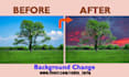 change image background and color change