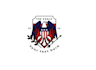 provide creative eagles logo with satisfaction guaranteed