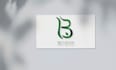 create amazing minimalist luxury logo design in 6 hours
