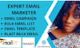 send bulk email blast email campaigns to targeted audience blast emails