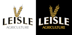provide a modern minimalist logo design