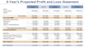 create cash flows forecasts and financial projections
