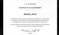 write surfer SEO optimized content using jasper ai and post on wordpress
