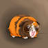 draw your lovely pet in comics style
