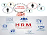 provide business and HR consulting services