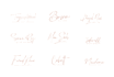 design signature styles custom scripted logo designs