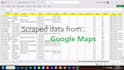 do google maps scraping, scrape websites data with selenium web scraper