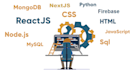 develop web app using next js, react, firebase and node js