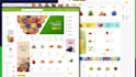 design shopify ecommerce website, build shopify online store