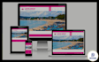 do professional and responsive business web design
