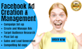 run shopify facebook ads campaign,do fb marketing,instagram ads expert