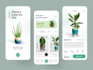 design flutter front end  and convert figma and xd design to flutter UI