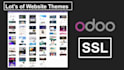 do odoo install in your server