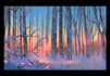 draw 5 scennes enviroments background for your project