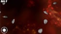 develop unity 2d or 3d game