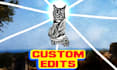 make custom edits to music