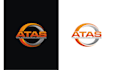 make a eye catching logo for you