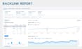do google ranking local SEO service for business website optimization