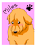 draw your pets with my cute cartoon style