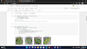 build image classification models using deep learning and python