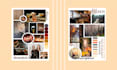 design professional mood board vision board and brand board
