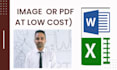 type any PDF image to excel or word