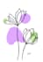 draw beautiful  minimalist one line drawing