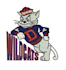 do professional embroidery digitizing in hours