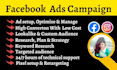 be your facebook ads campaign manager, run fb ads campaign