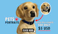 turn your pet into a digital artwork