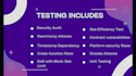 audit and test smart contract