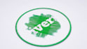 do elegant thread draw logo animations