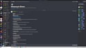 make you a professional discord server