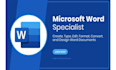 do microsoft office word, excel and power point projects