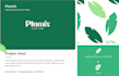 do professional and unique brand identity for your business