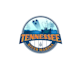 design a professional modern fishing logo