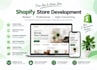 design and build a professional shopify store for your business
