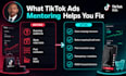 mentor you on tiktok ads marketing strategy and roas