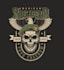 design a professional modern veteran logo
