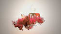 create amazing video intro logo animation