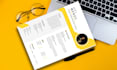 perform professional resume design and CV design