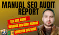 provide manual SEO audit report and competitors analysis