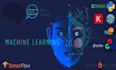 do machine learning  and python tasks professionally